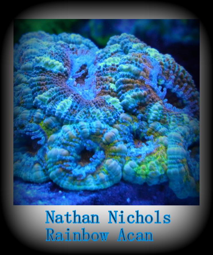 acan picture.jpg