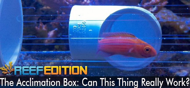 acclimation box.jpg