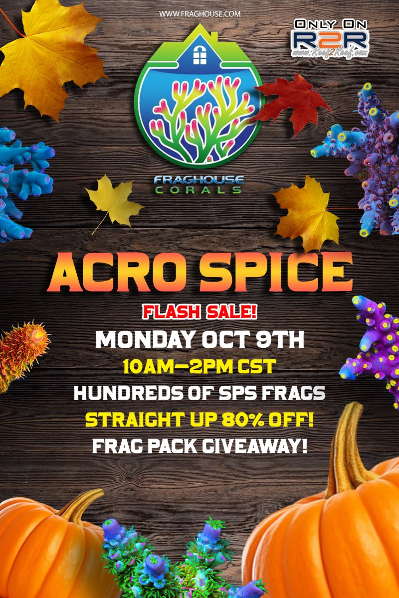 acro spice sale flyer.jpg