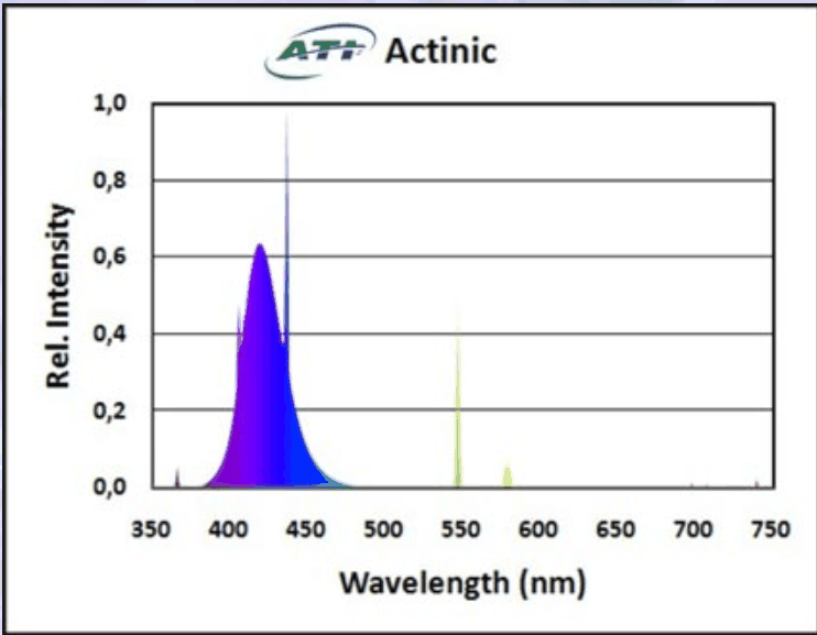 actinic-ati-gif.2584477