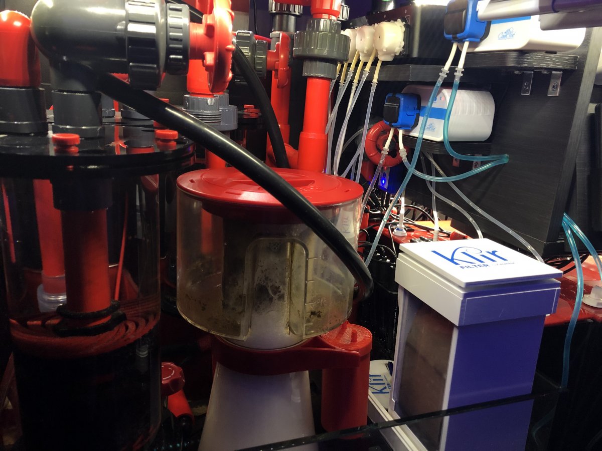 Build Thread - Mission Impossible: Reefer 250, 3 reactors, refugium ...