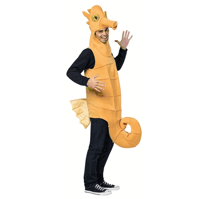 adult-seahorse-costume-39.gif