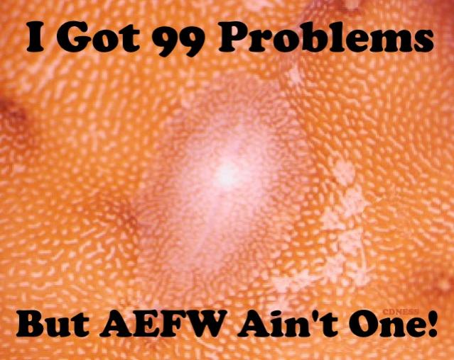 AEFW99Problems.jpg
