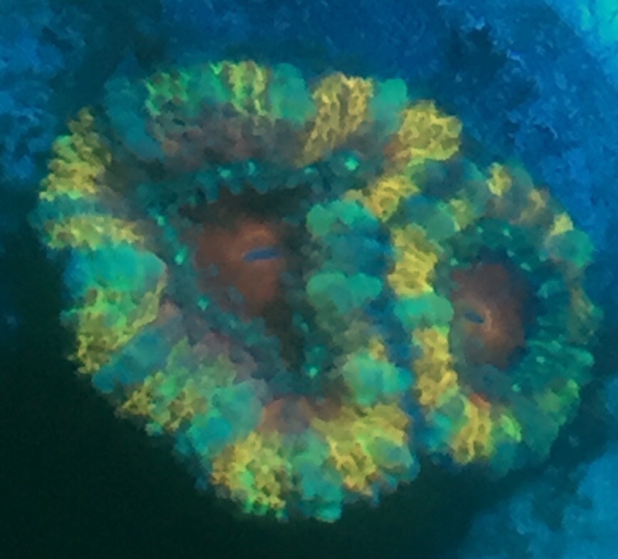 AF5A09CA-53D4-4275-B247-319B4C4A64D3.jpeg