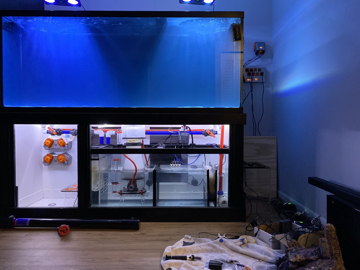 Large Build - Posting for the reefers who wanna follow the progression ...