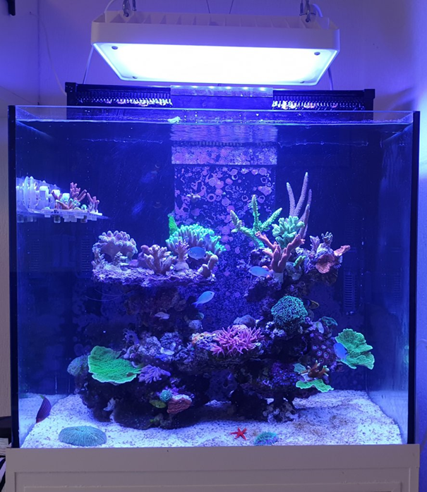 Afbeelding9.png