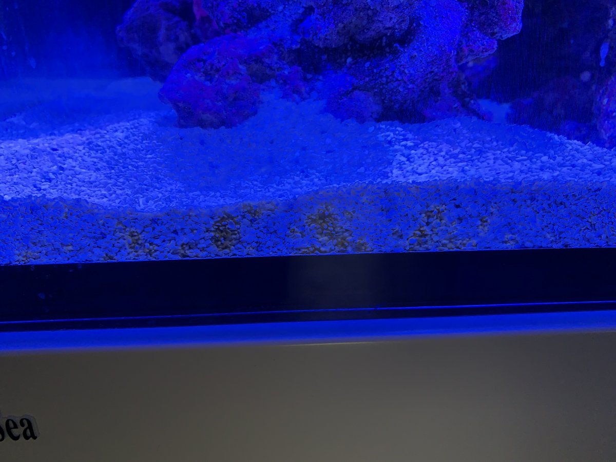 AFDA43AB-E789-4A2A-BB83-0ABE699D71F3.jpeg