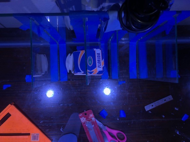 AIO Insert 2.jpg