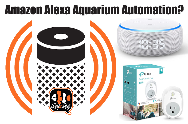 Alexa Automation.jpg