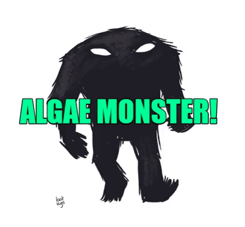 Algae Monster.gif