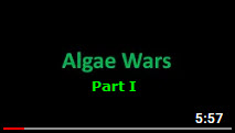 AlgaeWarsPart1.jpg