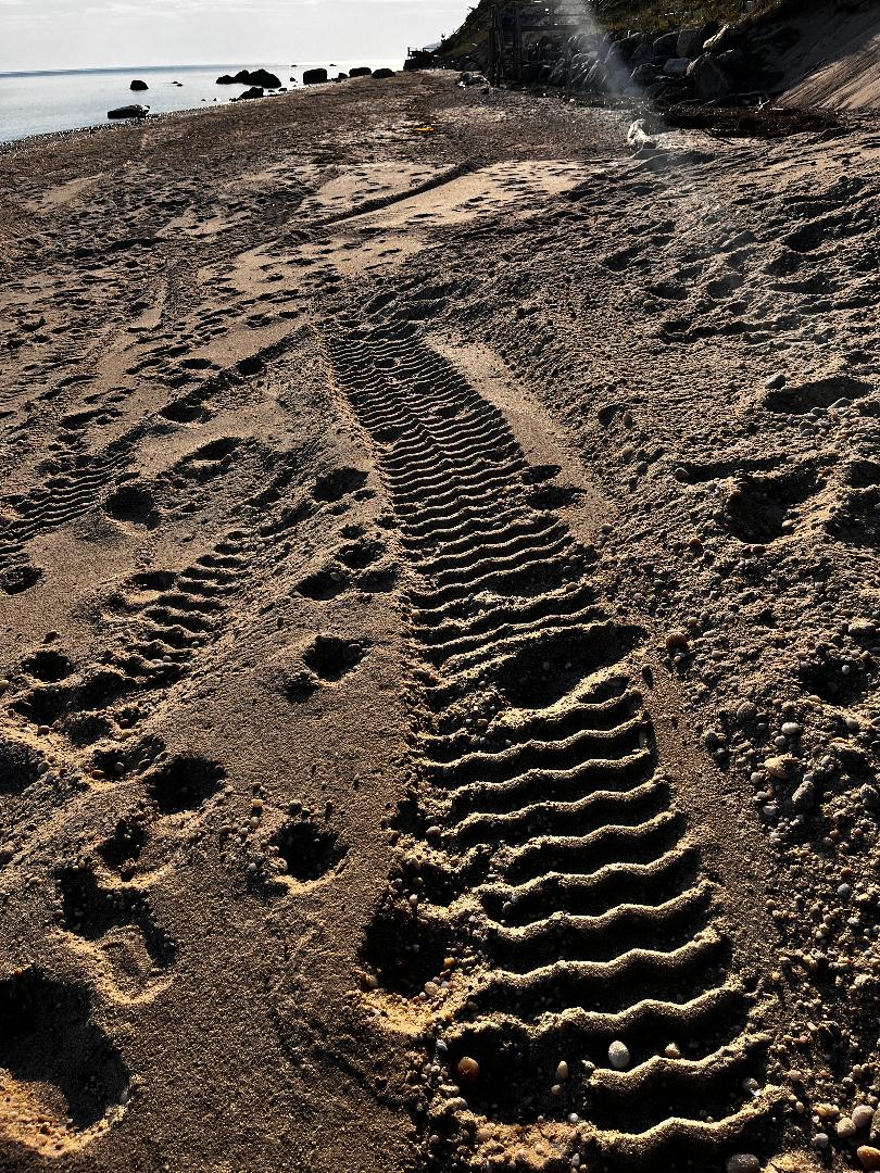 Alien tire tracks.jpg