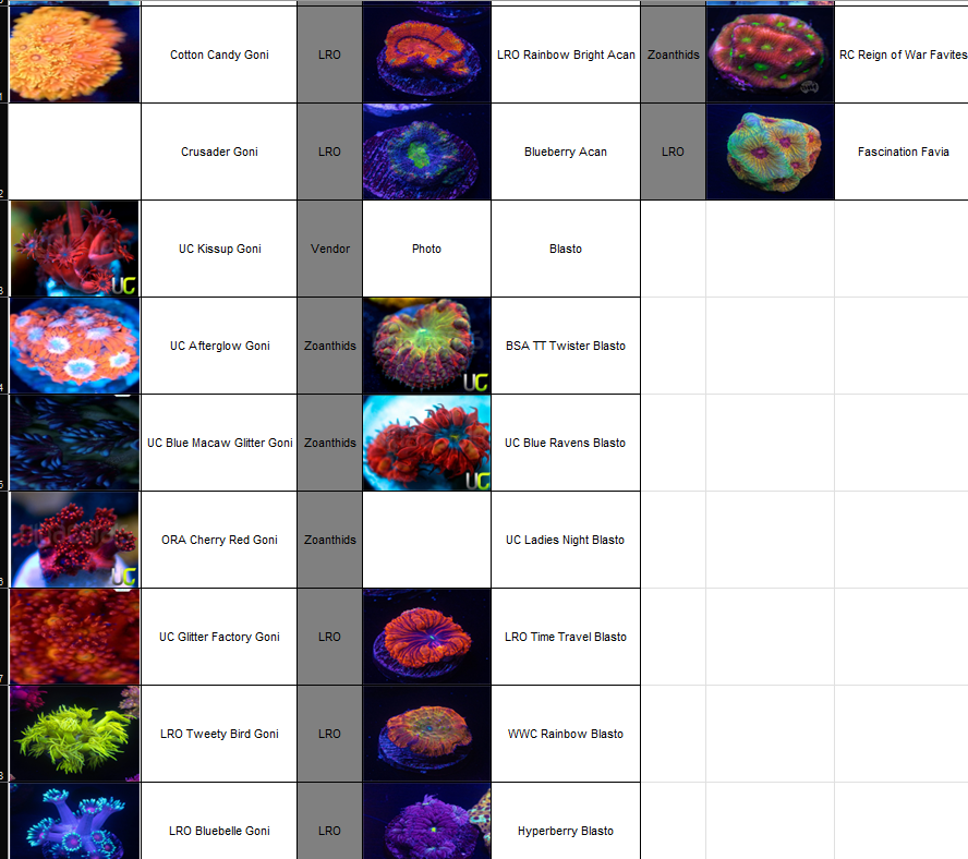 All Corals 2.png