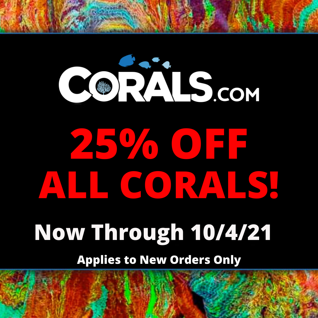 ALL CORALS!.png