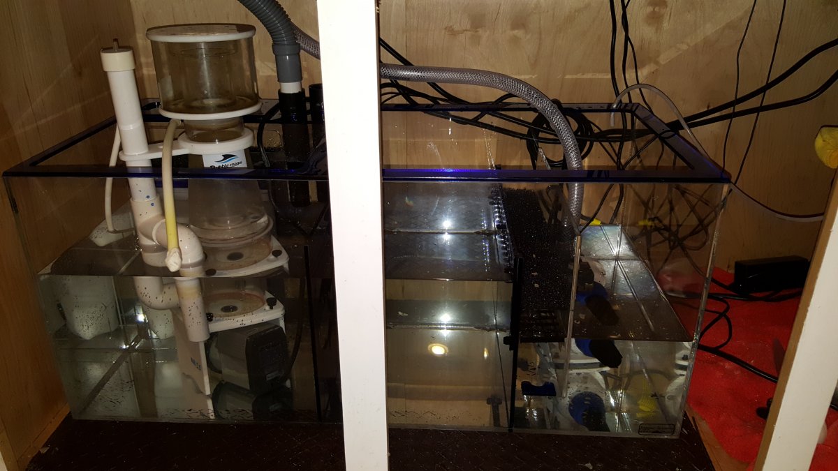 almost done.jpg