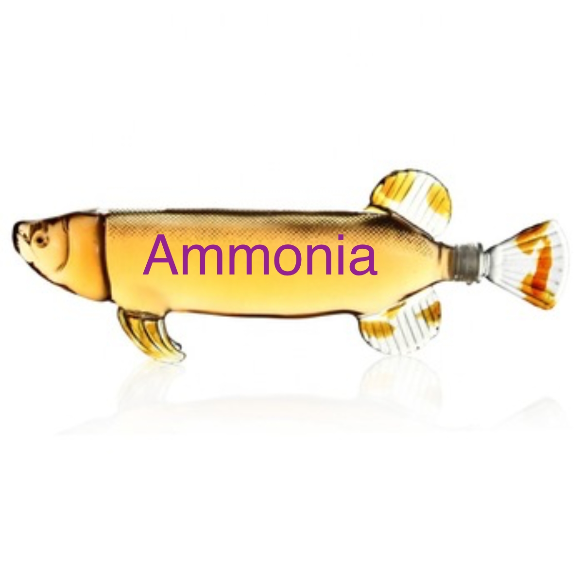 Ammonia_fish.jpg