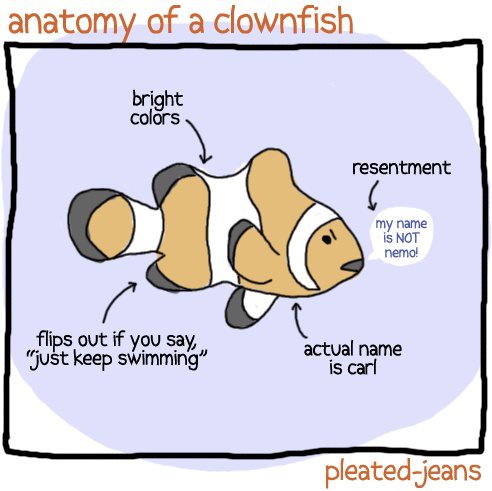 Anatomy-of-a-Clownfish.jpg