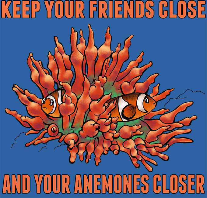 Anemones closer design.jpg