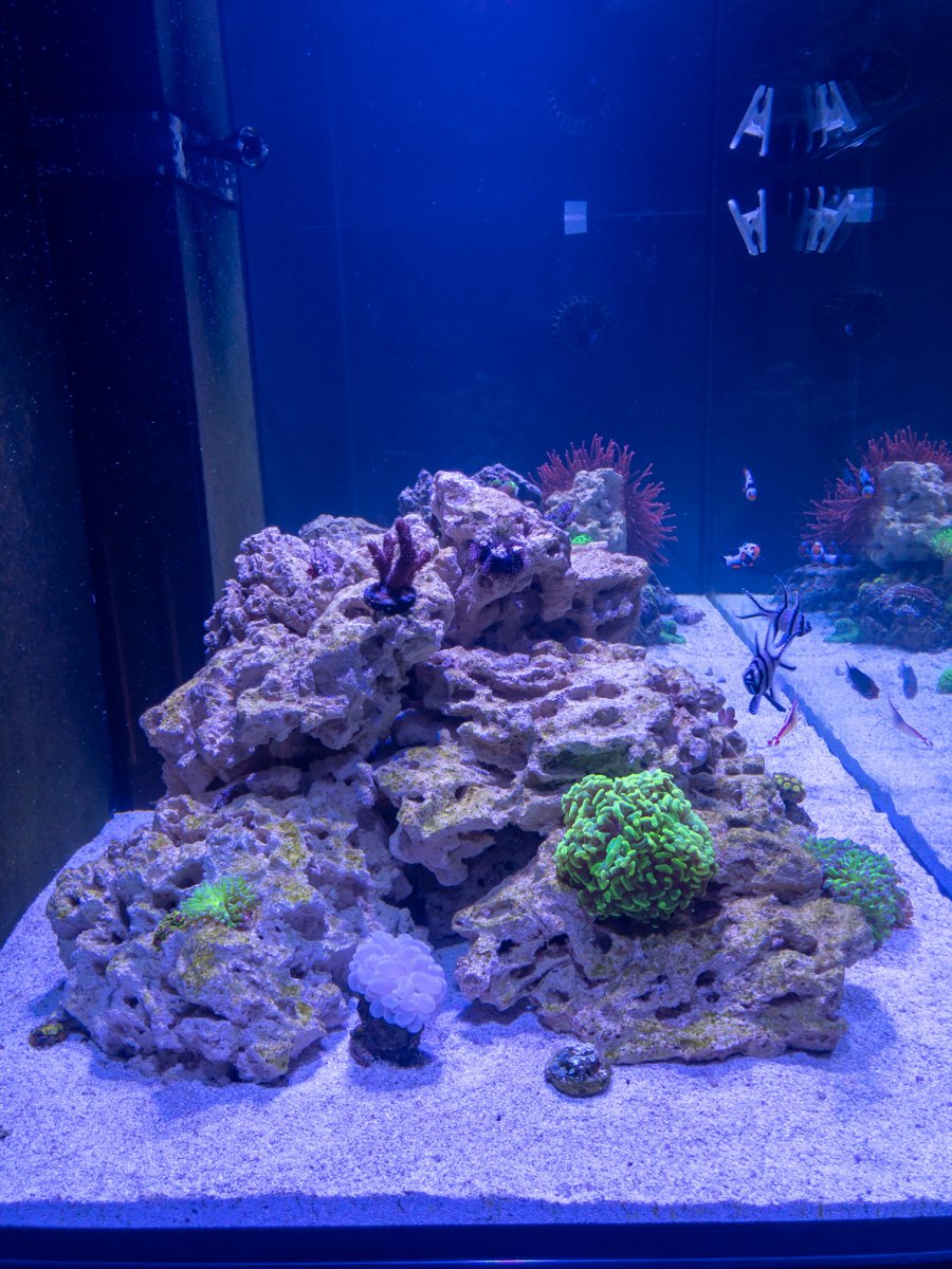 APC_0076-hdr.jpg