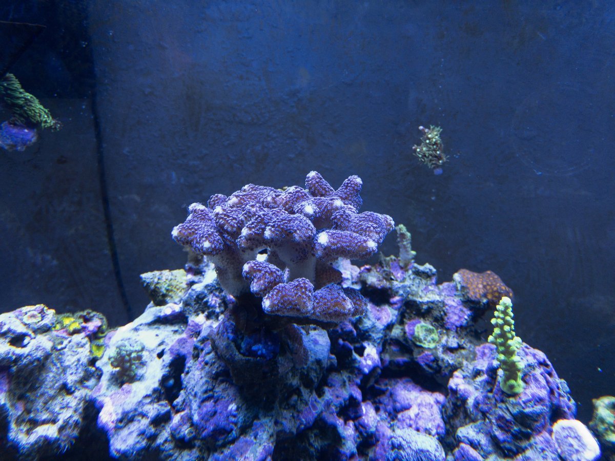 APC_0321.JPG