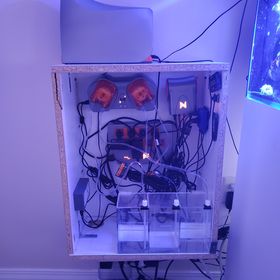 Apex Setup.jpg