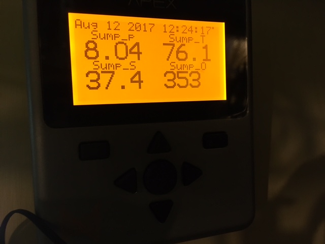 Apex_Display.JPG