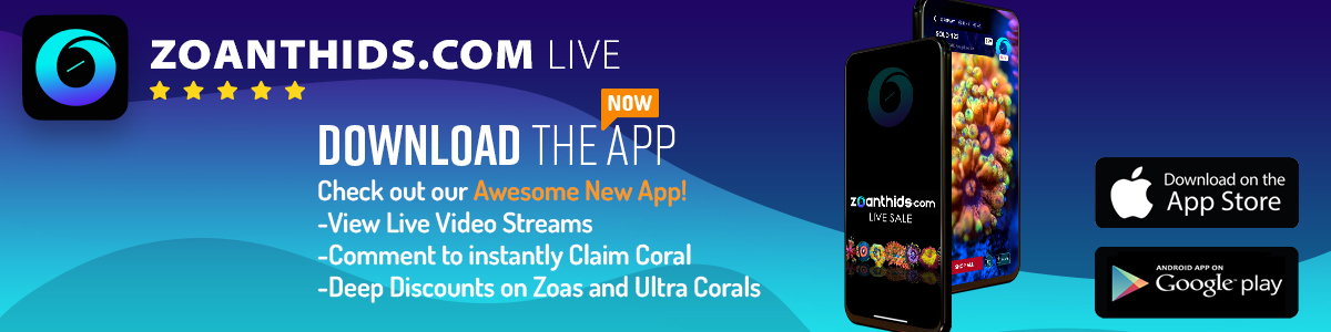 LIVE NOW: New Raffle & So Many Bangers - Don't Miss this One! *in App ...