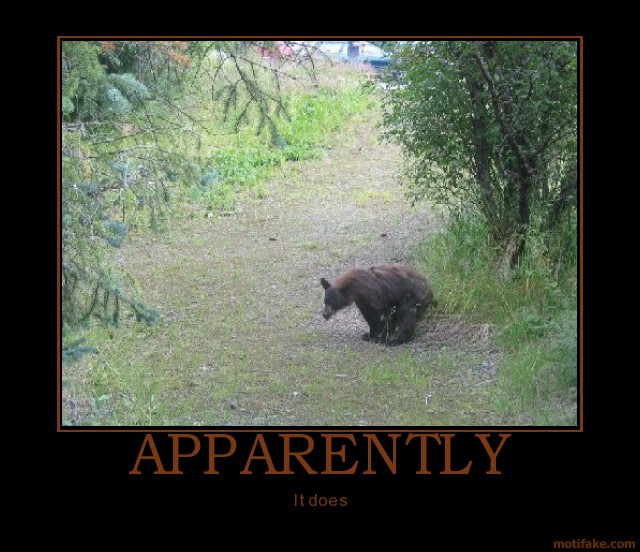 apparently-does-bear-****-woods-demotivational-poster-1290004376.jpg