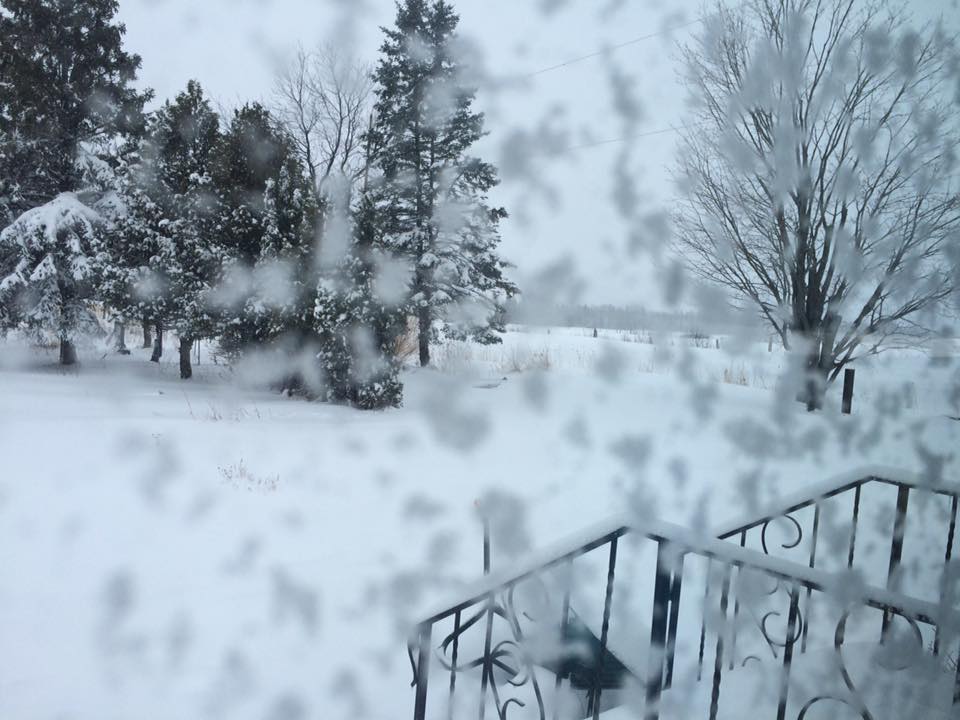 april17.jpg