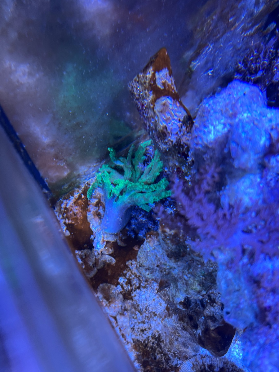 AquaCam_124F863A.jpeg