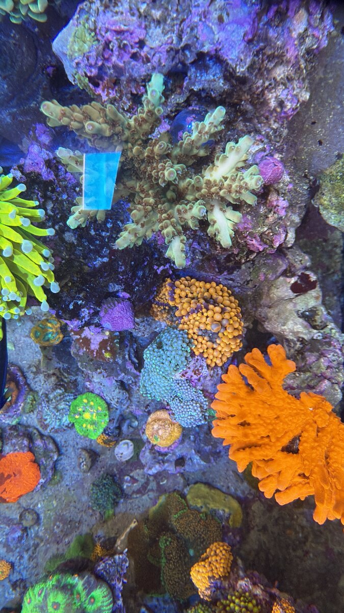 AquaCam_30D43692.jpeg