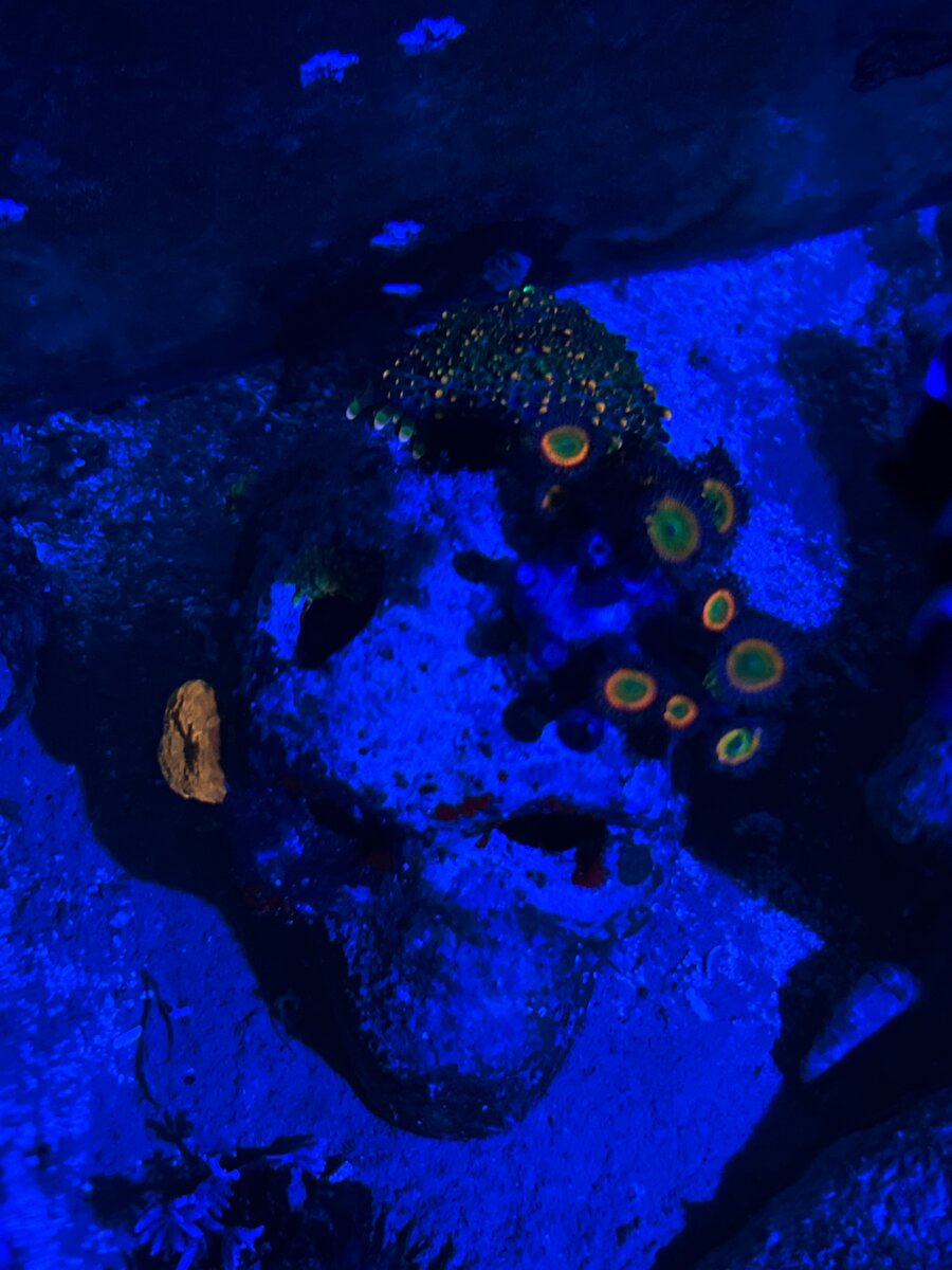 AquaCam_365DFC55.jpeg