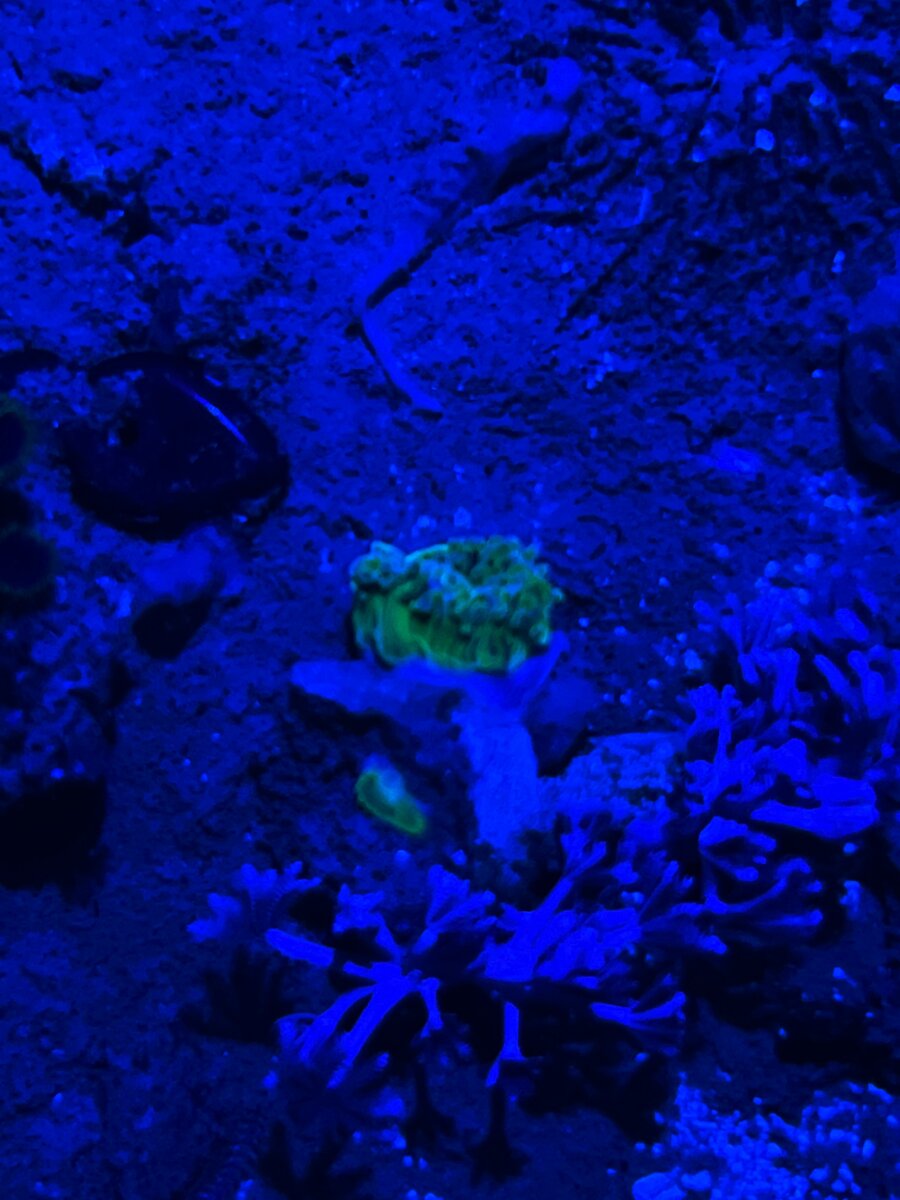 AquaCam_652ED758.jpeg