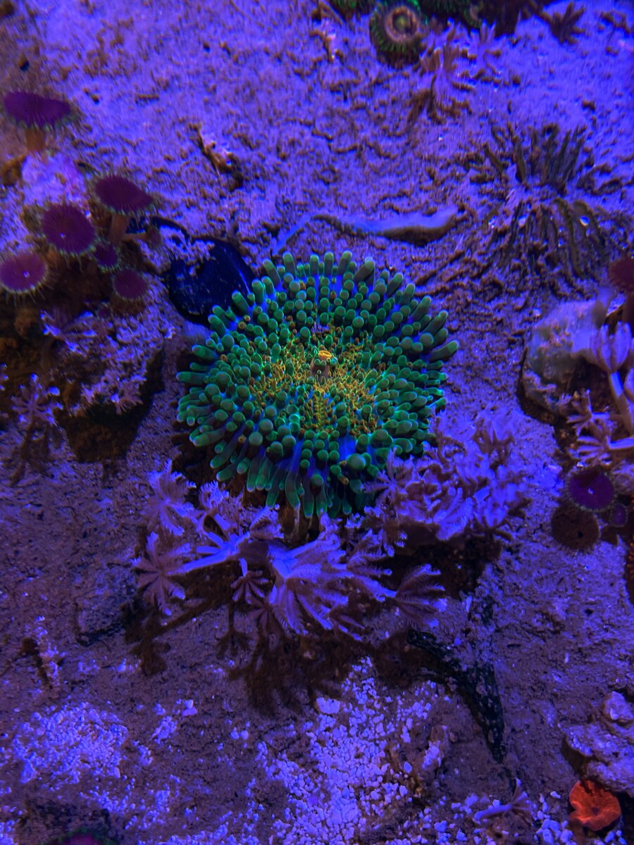 AquaCam_89012E9B.jpeg