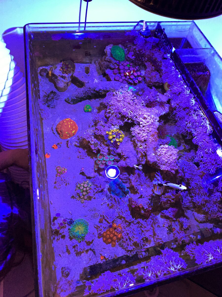 AquaCam_B1FE2752.jpeg