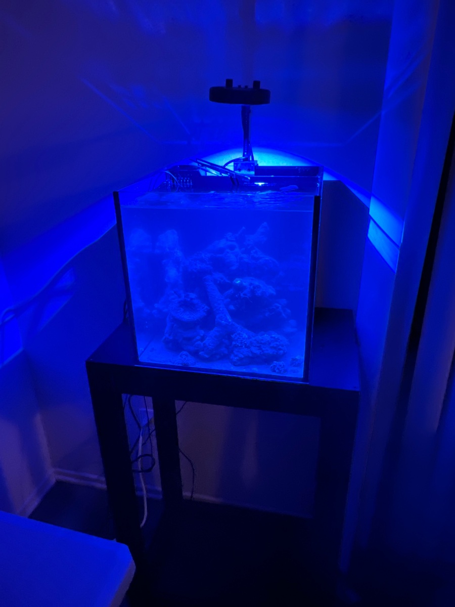 AquaCam_C2938E64.jpeg