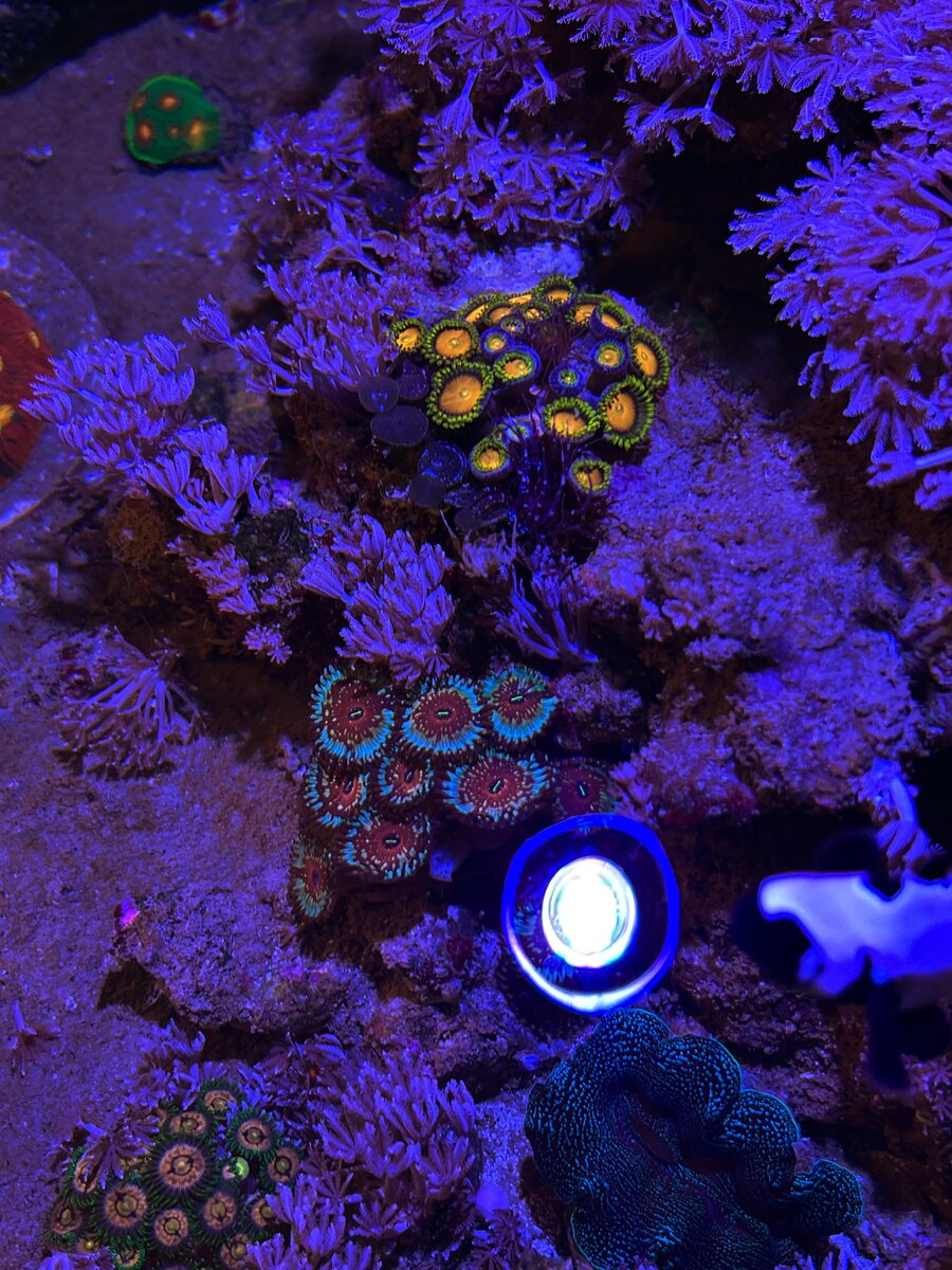 AquaCam_D26CB464.jpeg