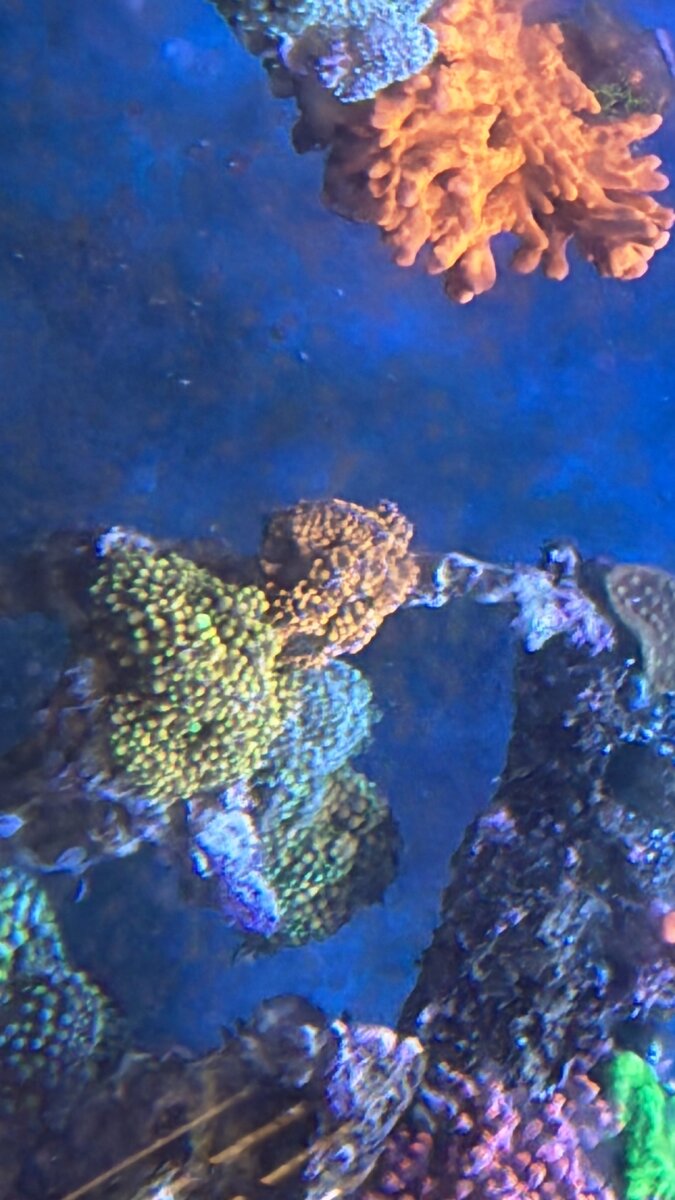 AquaCam_E5A2DA5C.jpeg