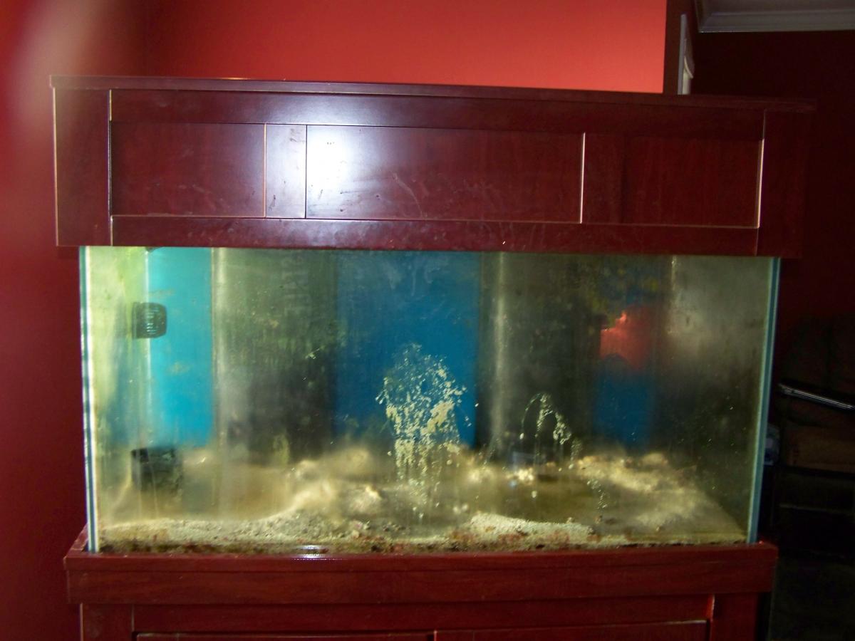 aquarium 001.jpg