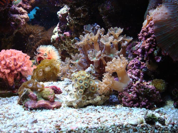 aquarium 005.jpg