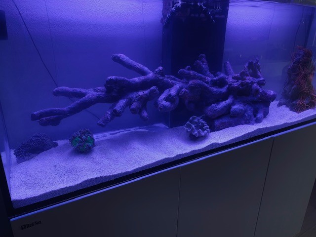 aquarium 1.jpg