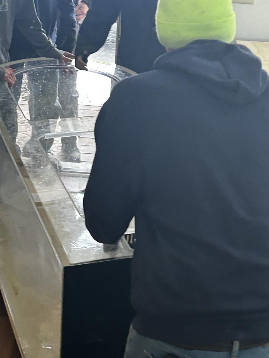 Aquarium 3.jpg