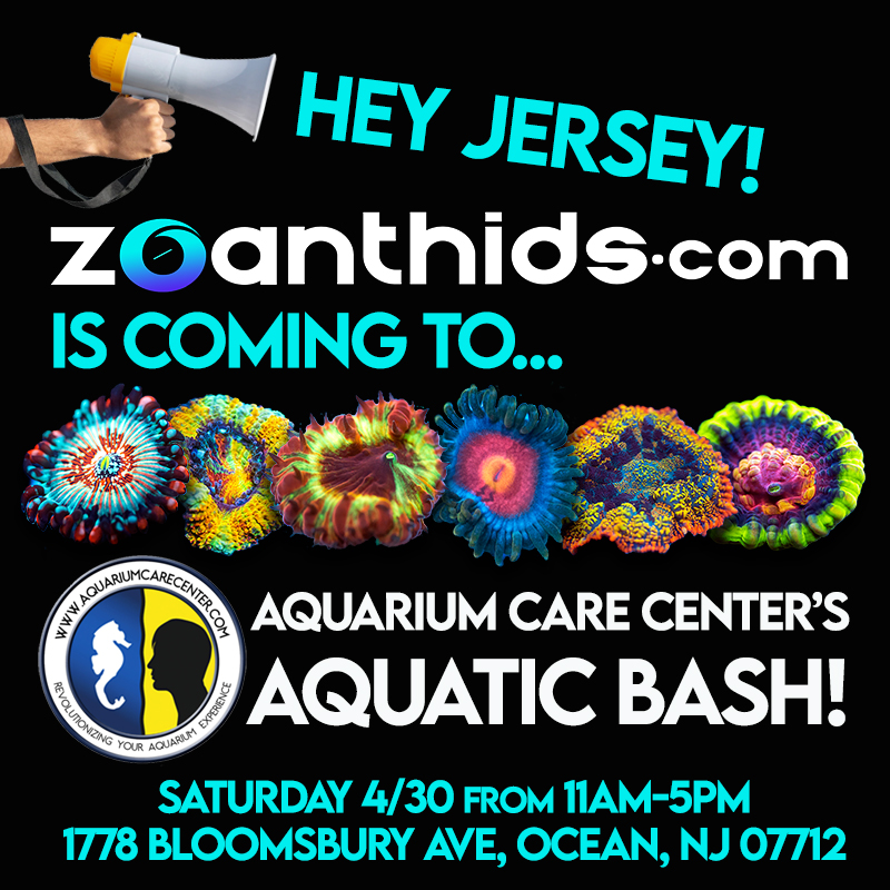 Aquarium-Care-Center.jpg