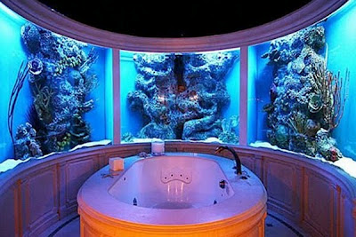 aquarium.jpg
