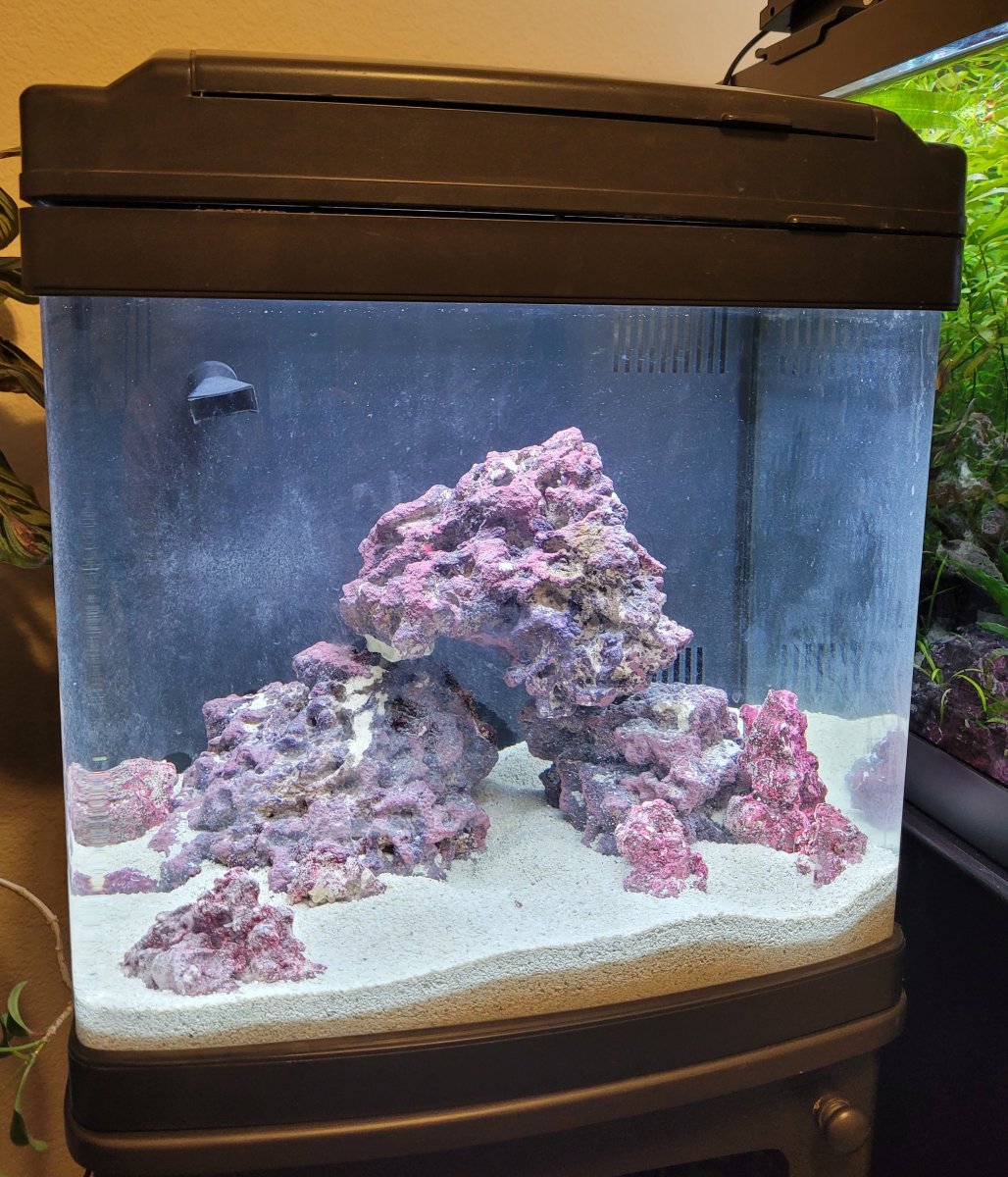 Biocube freshwater hot sale