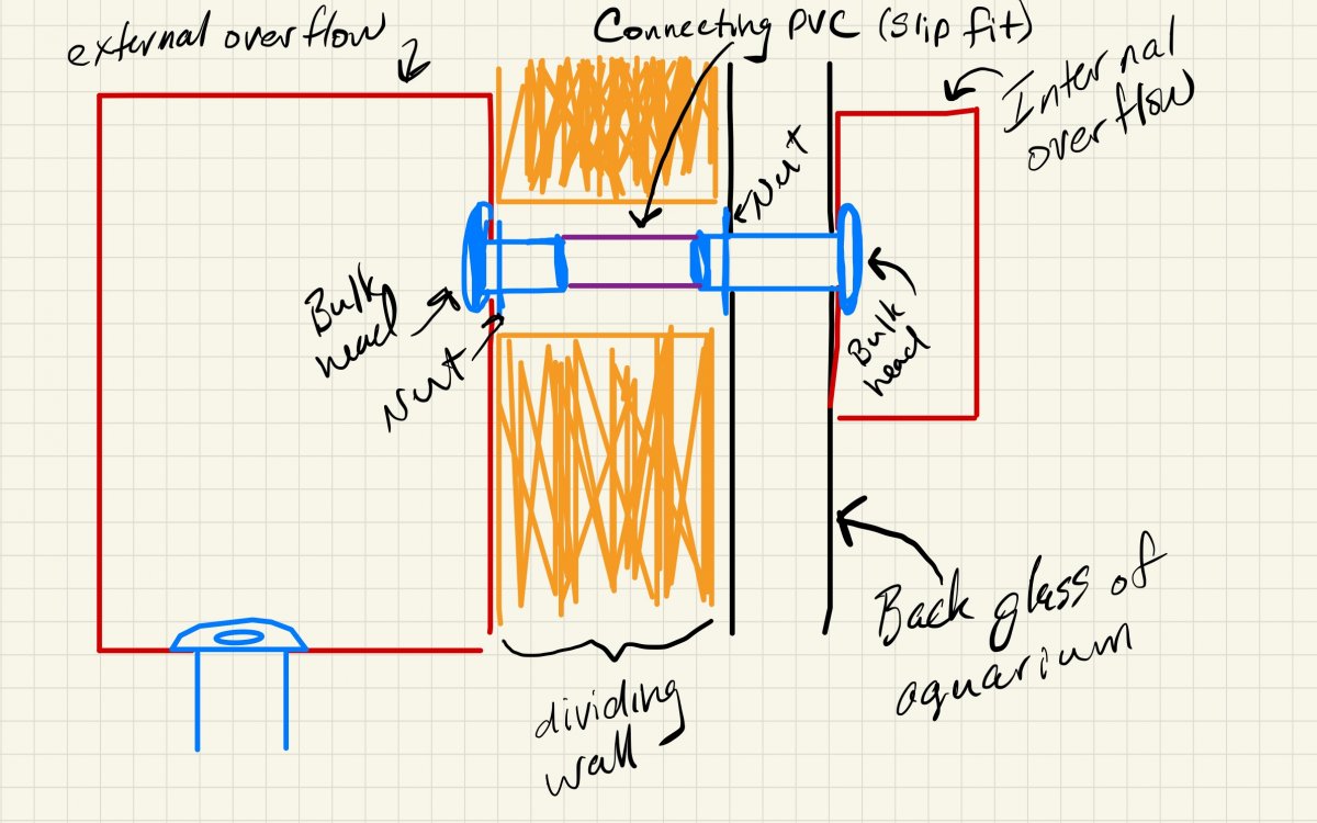 aquarium setup-14.jpg