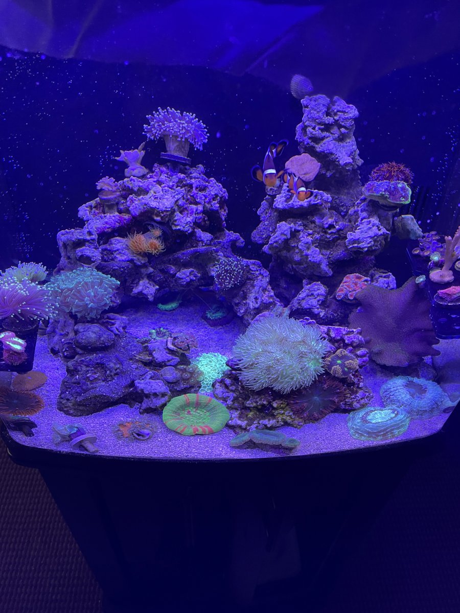 aquarium1.jpeg