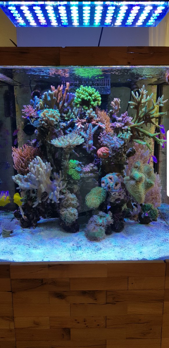 Aquarium_LED_lighting.jpg