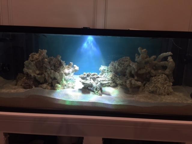 aquascape.jpg