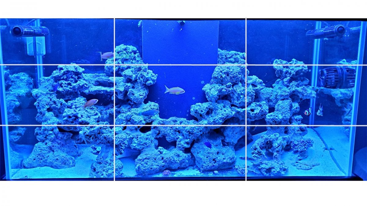 Aquascape.jpg